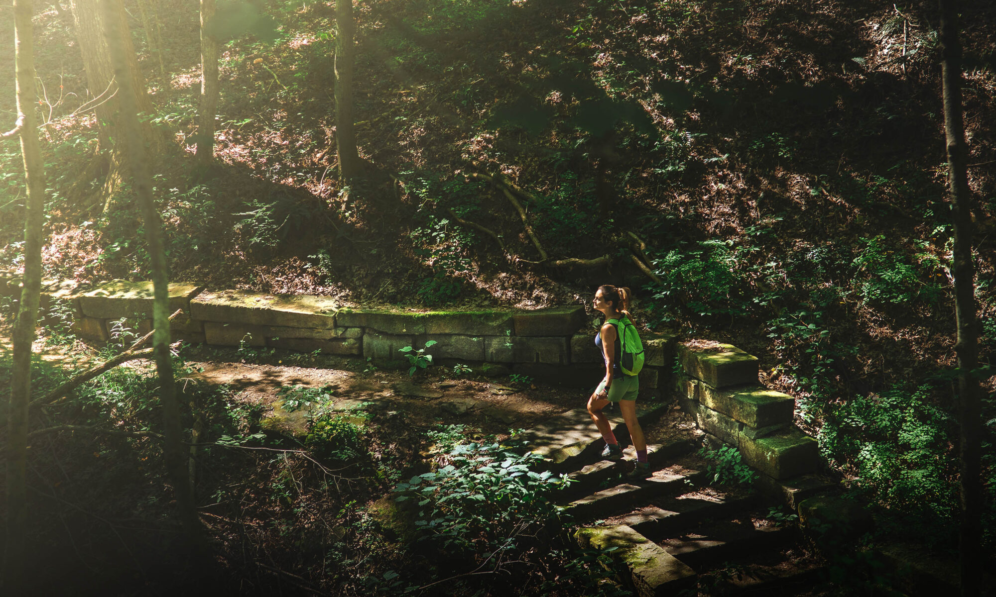 Hiking Trail 2 CCC Trail Loop - 20200809Trail2 3910 Al 3k 2000x1200 