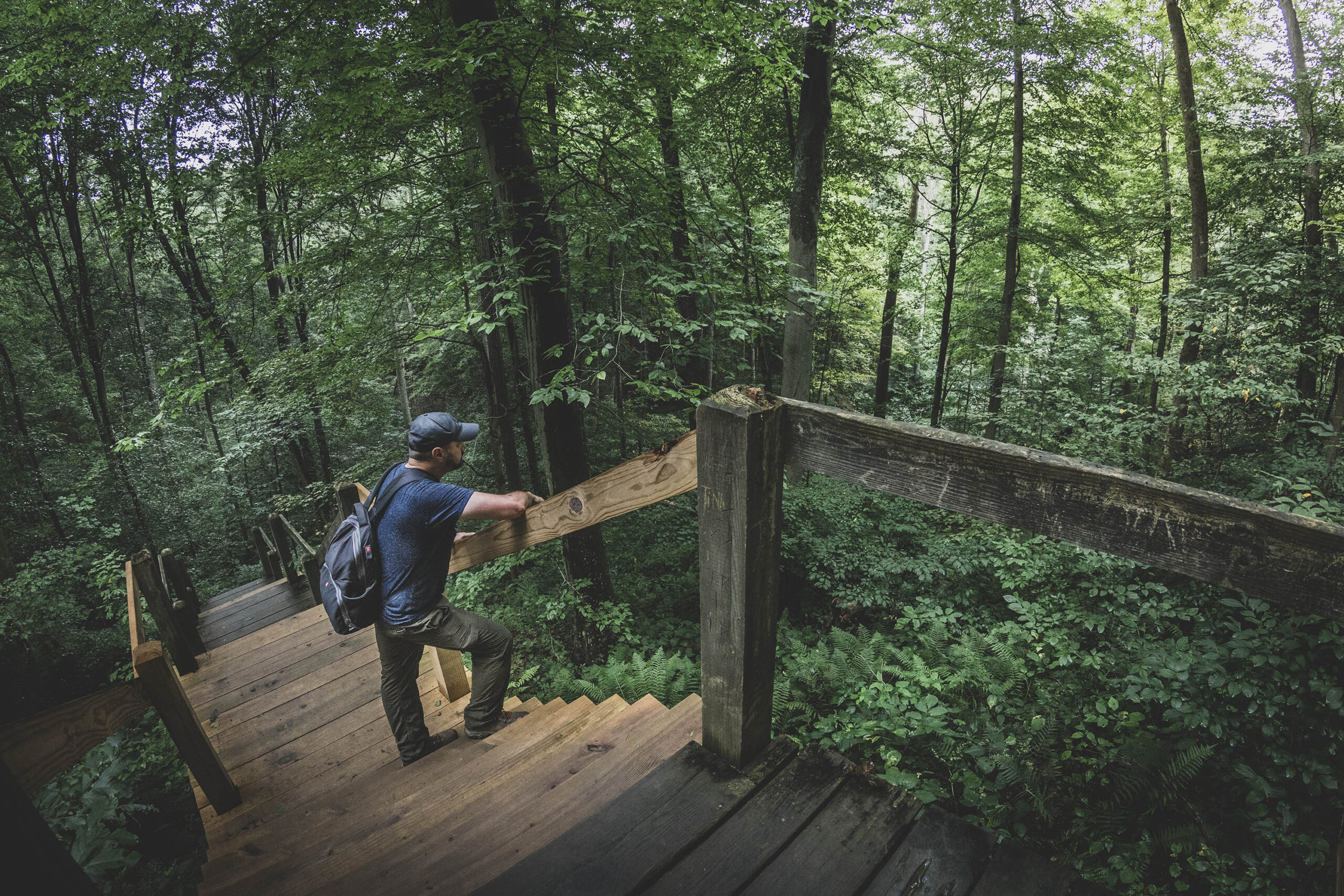 Trail 4 Rally Campground to Ogle - 20200903Trail5BrownCountyStatePark 4433 Al 3000 Scaled 