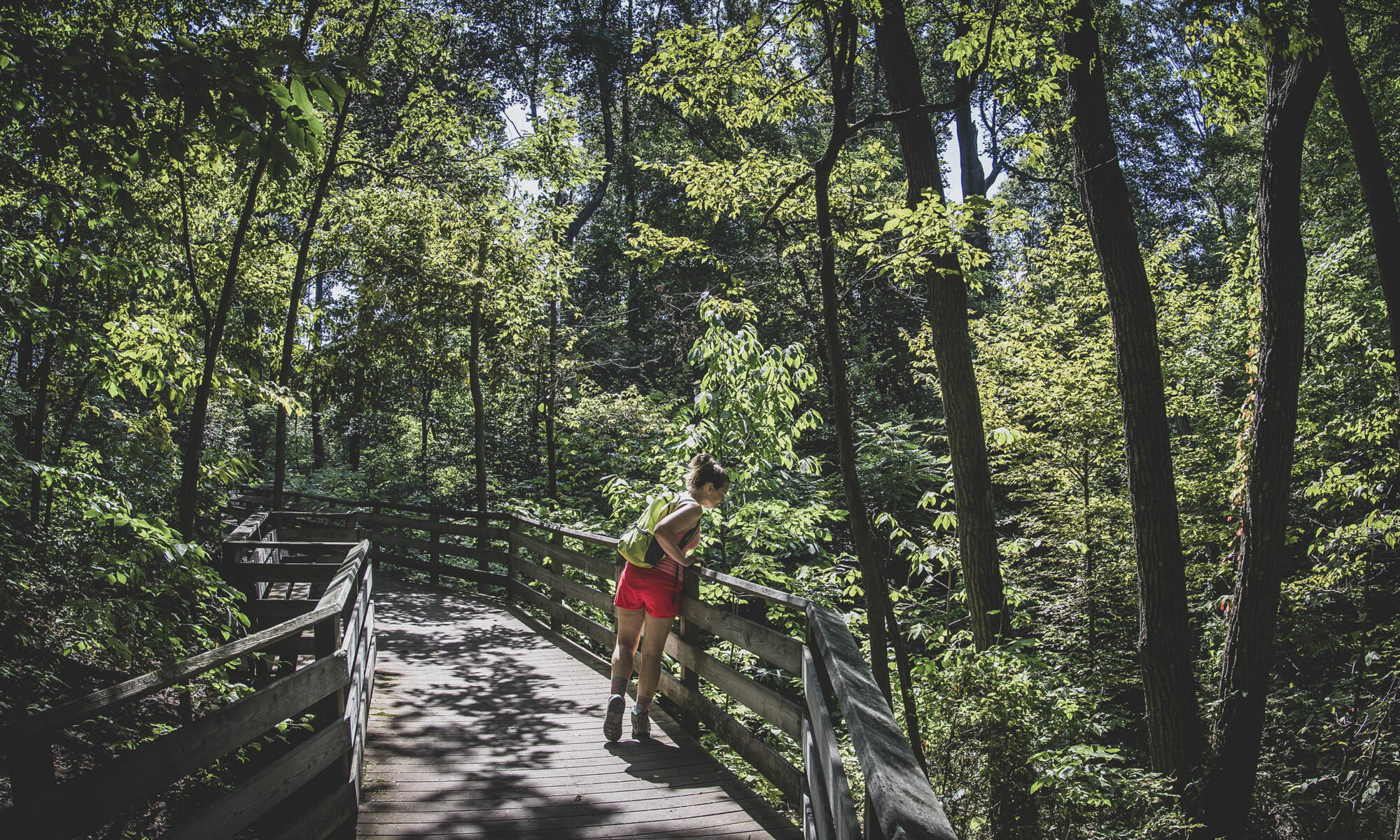 Friends Trail Brown County State - 20200908FriendsTrailBrownCountyStatePark 4781 Al 3k 2000x1200 